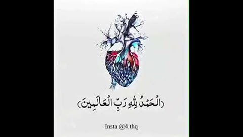سورة الفاتحة - حالات واتس اب قرأن ❤️.