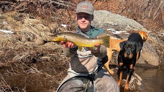 MARCH MADNESS ON THE DEERFIELD RIVER