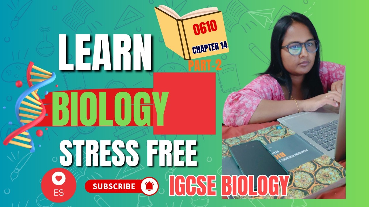 IGCSE Biology Revision | Coordination & Response (Part 2) | Past Paper Questions & Answers #biology