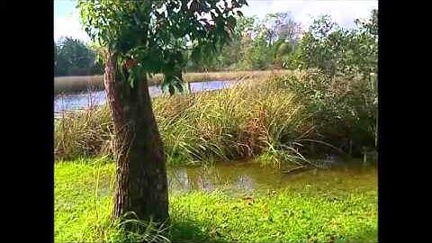 (CLOSED) 300 SUBSCRIBER GIVEAWAY ANNOUNCEMENT (CLOSED