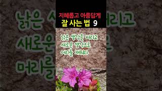 늘 밝게 생각하고 말하고 행동하라 #책데이트 #shorts