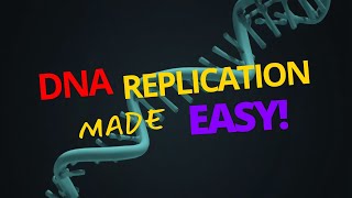 Exclusive DNA Replication Explained Animated Information