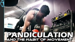 Do This to Gain Energy and Strength for Workouts! - Pandiculation and the Habit of Moving