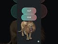أسد بالإنجليزية 
