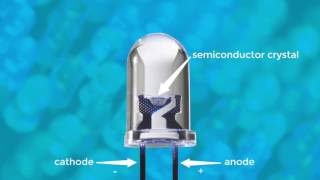 What is an LED and How Does it Work?