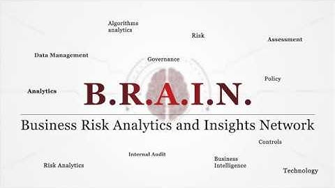Business Risk Analytics & Insights Network