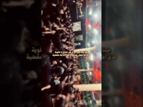اجينا وطالبين مراد من عندج ياعلويه ستوريات حسينيه حالات واتس اب محرم الحرام  شيعة علي