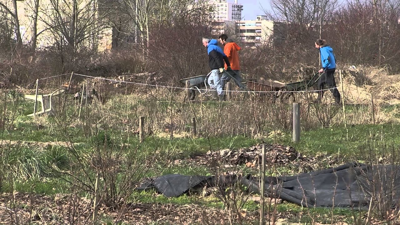 Probiotic - video clip - Unstable Lands