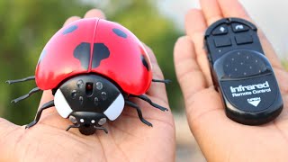 Rc Ladybug Unboxing and Testing 🐞