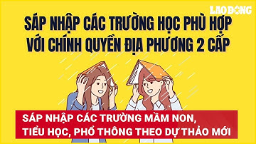 Sáp nhập các trường mầm non, tiểu học, phổ thông theo dự thảo mới | Báo Lao Động