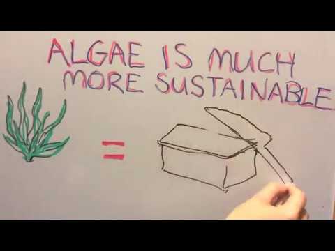 YouTube | UTS and DGBH Animation: Using algae to feed the world