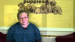 Microchip your pet!