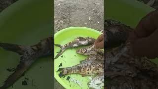 Yuh ikan bakar tepi laut