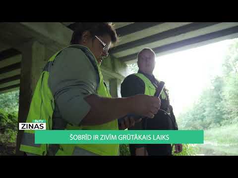 Video: Kas Ir Visgardākās Un Veselīgākās Zivis