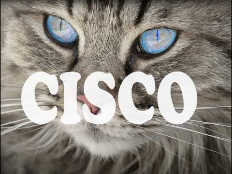 mensagem de férias Café com Deus_Devocional 17 #Cisco / Pr. Júlio César