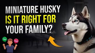 Miniature Husky Is It Right for Your Family 🐾 by PawsPalace 4 views 2 weeks ago 2 minutes, 33 seconds