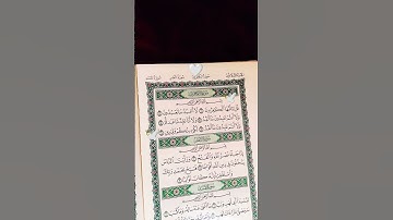 سورة الكافرون الشيخ مشاري العفاسي #القرآن_الكريم#quran 🕊️