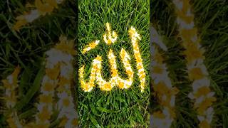 Allah hu akber #Allah #islamicvideo #highlights #allahuakbar