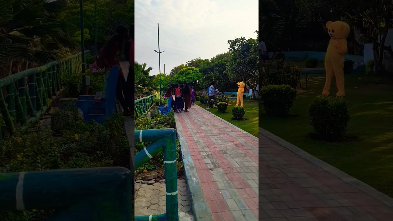 Udi udi jai dil ke patang  short video taddy bear Men 