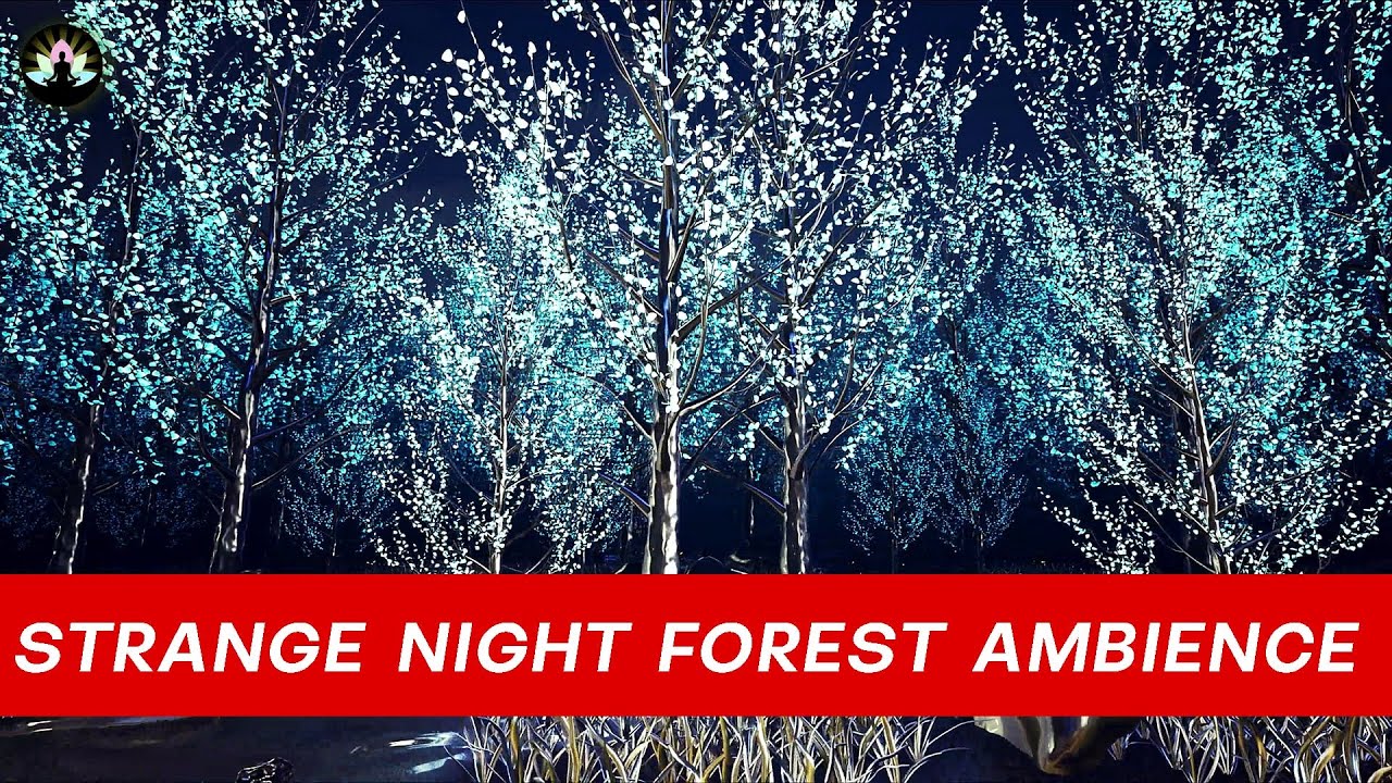 Night forest ambience | Strange glowing metal forest | Fantasy autumn forest ambient music