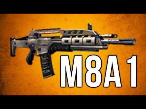 I use the M8A1 from Black Ops 2 in 2022 gameplay