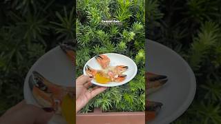 🦀Coastal Eats at Epcot Food & Wine Festival🦞
