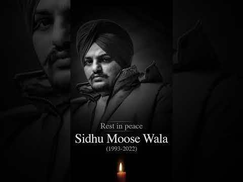 #_DEAR MAA 29 / 5 ❤️‍🩹🙌🫂.        #sidhumoosewala #295 #newshorts #newtrending