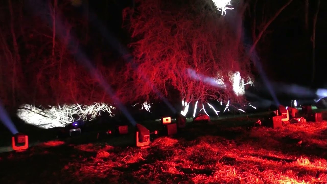 Aglow Lights Trail Auckland Castle 2025