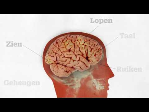 Video: Multimodale MRI Van Grijze Stof, Witte Stof En Functionele Connectiviteit Bij Cognitief Gezonde Mutatiedragers Die Risico Lopen Op Frontotemporale Dementie En De Ziekte Van Alzheim
