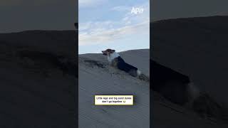 Little legs and big sand dunes don't go together 😭