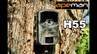 🔥 2021 REVIEW: Apeman H55 Trail Camera. Testing and Samples