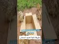 طريقة صيد السمان
