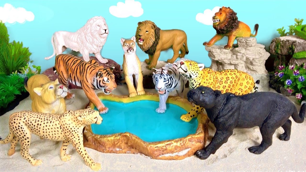 sea of thieves Big Cat Week 2019 Happy Cute ZOO Animals Wildlife LION TIGER LEOPARD CHEETAH BIG CATS JAGUAR PANTHER