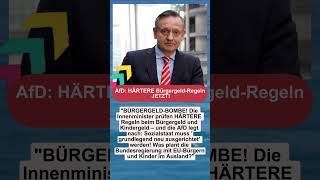 AfD: HÄRTERE Bürgergeld-Regeln JETZT! | #AfD #Bürgergeld #Kindergeld #Innenministerkonferenz