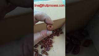 Saudi Arabia dates pitting and slicing machine