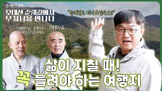 MZ가 선택한 불교의 성지! 부처님을 가르침을 되새기는 구도의 길  | 오대산 순례길에서 부처님을 만나다 2부