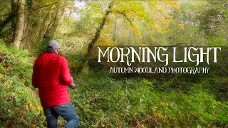 MORNING LIGHT | Lockdown photography in my local woods MORNING LIGHT | Lockdown photography in my local woods