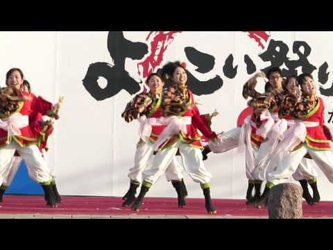 乱舞姫（光が丘よさこい祭り2013 2日目・"笑乱漫")