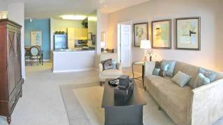 Bristol Village at Charter Colony