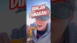 Jangan Pernah Makan Ini di Pantai! 😱