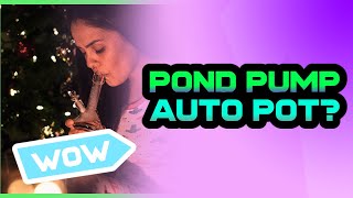Maximize Plant Growth with Autopot System: A Garden Update