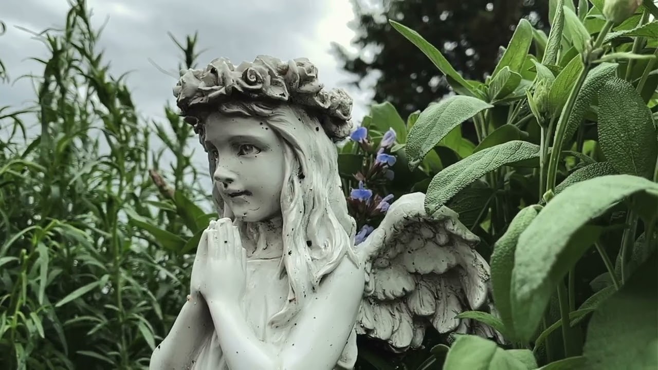 Watch Ashland - Trust (VISUALIZER) on YouTube Watch Ashland - Trust (VISUALIZER) on YouTube