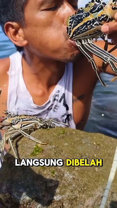 Makan Lobster Mentah Langsung dari Laut! Rasanya Gak Main-Main#mukbang #makan #shorts