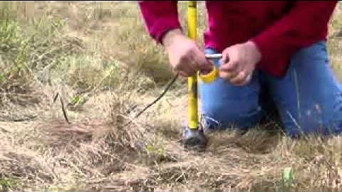 Seismic data Acquisition