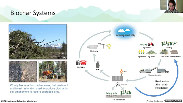 Economics and Entrepreneurial Focus on Biochar: Na...