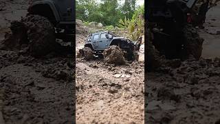 Extreme Mudding 4x4 Offroad DF4s pro Brushless RC Crawler