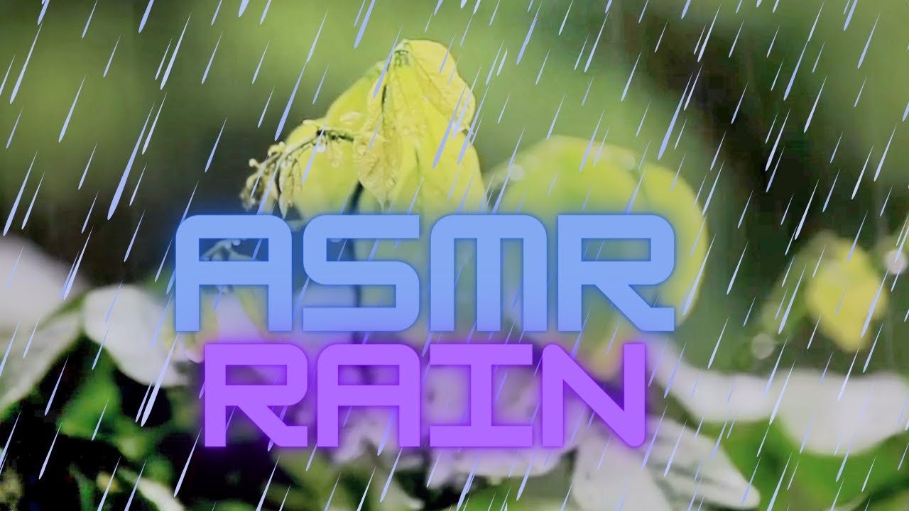 Relaxing Sound of Rain and Wind in Forest 1 Hour / Rain Drops Falling ...