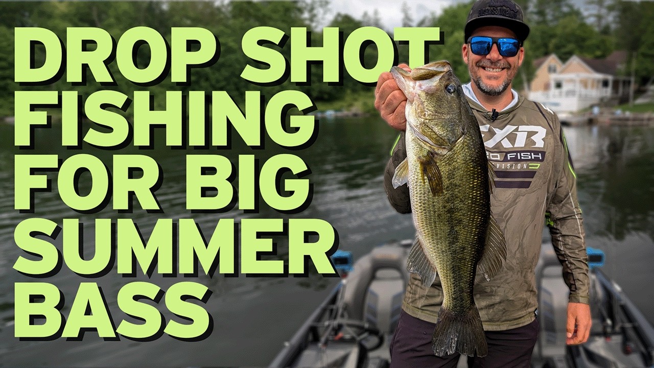 drop shot fishing for summer largemouth bass