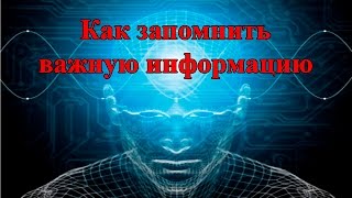 Как запомнить важную информацию?