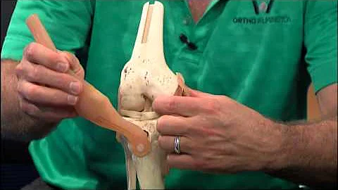 Dr. Bill Sutton joins Meghan Donohue on WECT Busin...
